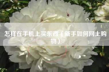 怎样在手机上买东西（新手如何网上购物）