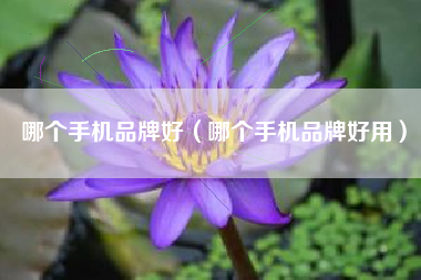 哪个手机品牌好（哪个手机品牌好用）