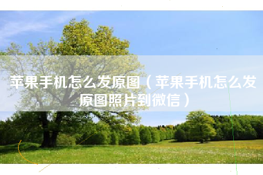 苹果手机怎么发原图（苹果手机怎么发原图照片到微信）