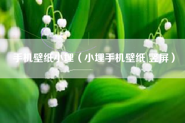 手机壁纸小埋（小埋手机壁纸 竖屏）