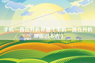 手机一直在开机界面（手机一直在开机界面进不去）