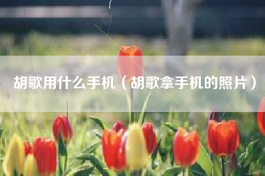 胡歌用什么手机（胡歌拿手机的照片）