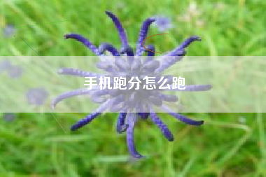 手机跑分怎么跑