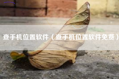 查手机位置软件（查手机位置软件免费）