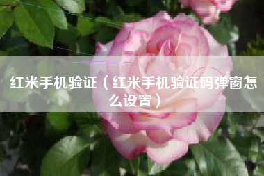 红米手机验证（红米手机验证码弹窗怎么设置）