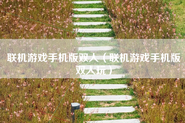 联机游戏手机版双人（联机游戏手机版双人玩）