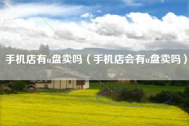 手机店有u盘卖吗（手机店会有u盘卖吗）