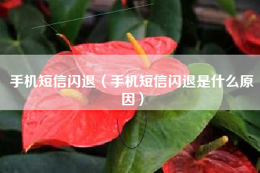 手机短信闪退（手机短信闪退是什么原因）