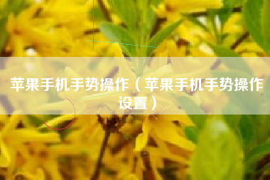 苹果手机手势操作（苹果手机手势操作设置）