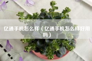 亿通手机怎么样（亿通手机怎么样好用吗）