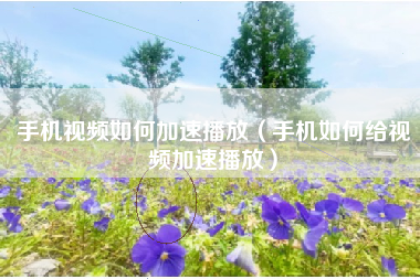 手机视频如何加速播放（手机如何给视频加速播放）