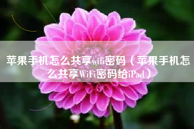 苹果手机怎么共享wifi密码（苹果手机怎么共享WiFi密码给iPad）
