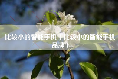 比较小的智能手机（比较小的智能手机品牌）