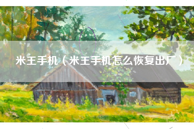 米王手机（米王手机怎么恢复出厂）