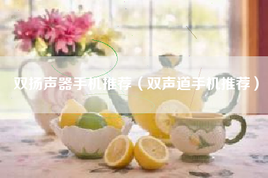 双扬声器手机推荐（双声道手机推荐）