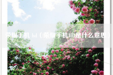 荣耀手机 hd（荣耀手机HD是什么意思）