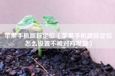 苹果手机跟踪定位（苹果手机跟踪定位怎么设置不被对方发现）