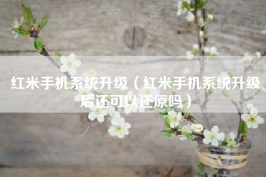 红米手机系统升级（红米手机系统升级后还可以还原吗）