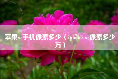 苹果xr手机像素多少（iphone xr像素多少万）