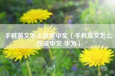 手机英文怎么改成中文（手机英文怎么改成中文 华为）