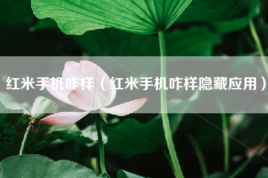 红米手机咋样（红米手机咋样隐藏应用）