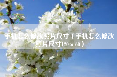 手机怎么修改照片尺寸（手机怎么修改照片尺寸120×60）