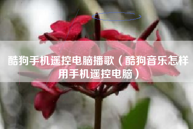 酷狗手机遥控电脑播歌（酷狗音乐怎样用手机遥控电脑）
