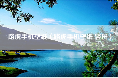 路虎手机壁纸（路虎手机壁纸 竖屏）