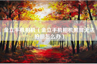 金立手机相机（金立手机相机黑屏无法拍照怎么办）
