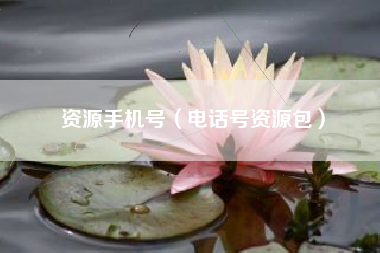 资源手机号（电话号资源包）