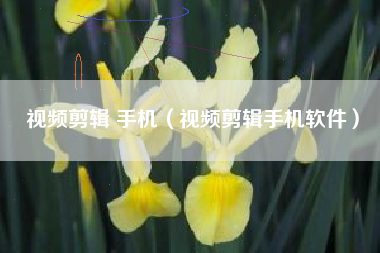 视频剪辑 手机（视频剪辑手机软件）