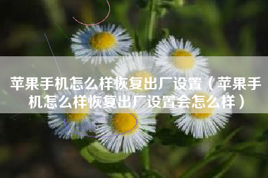 苹果手机怎么样恢复出厂设置（苹果手机怎么样恢复出厂设置会怎么样）
