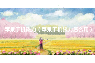 苹果手机磁力（苹果手机磁力怎么用）
