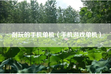 耐玩的手机单机（手机游戏单机）