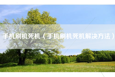 手机刷机死机（手机刷机死机解决方法）
