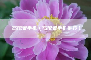 高配置手机（高配置手机推荐）