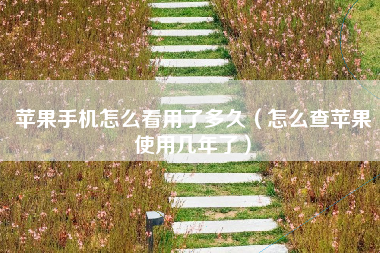 苹果手机怎么看用了多久（怎么查苹果使用几年了）