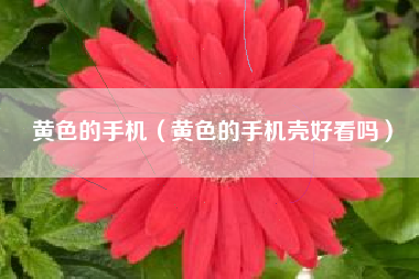 黄色的手机（黄色的手机壳好看吗）