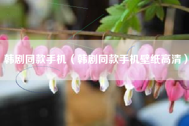 韩剧同款手机（韩剧同款手机壁纸高清）
