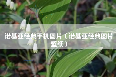 诺基亚经典手机图片（诺基亚经典图片壁纸）