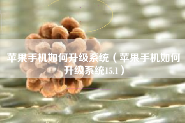苹果手机如何升级系统（苹果手机如何升级系统15.1）
