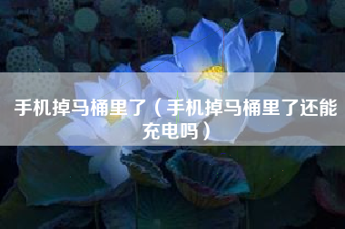 手机掉马桶里了（手机掉马桶里了还能充电吗）