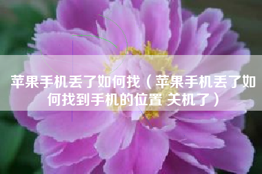 苹果手机丢了如何找（苹果手机丢了如何找到手机的位置 关机了）