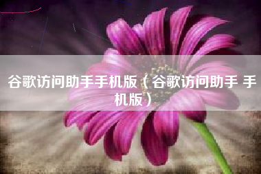 谷歌访问助手手机版（谷歌访问助手 手机版）