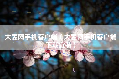 大麦网手机客户端（大麦网手机客户端下载安装）