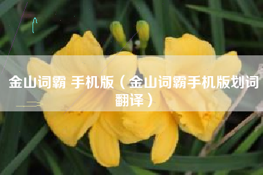 金山词霸 手机版（金山词霸手机版划词翻译）