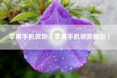 苹果手机微距（苹果手机微距摄影）