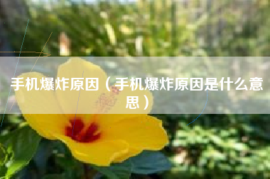 手机爆炸原因（手机爆炸原因是什么意思）