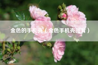 金色的手机壳（金色手机壳图片）