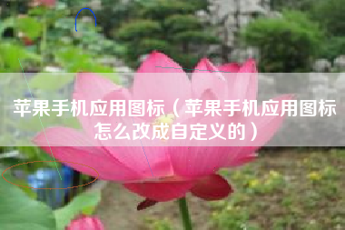 苹果手机应用图标（苹果手机应用图标怎么改成自定义的）